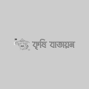 কুমড়ার মাছি পোকা