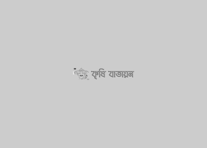 কৃষি উন্নয়নে প্রযুক্তির ব্যবহারঃ আওয়ামী লীগ সরকারের অবদান